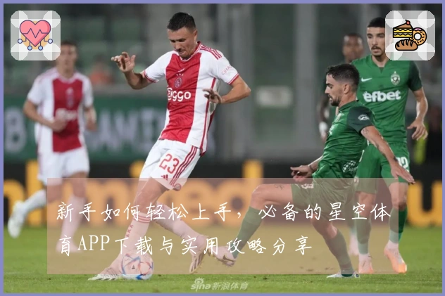 新手如何轻松上手，必备的星空体育APP下载与实用攻略分享